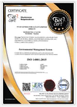 ISO 9001: 2015